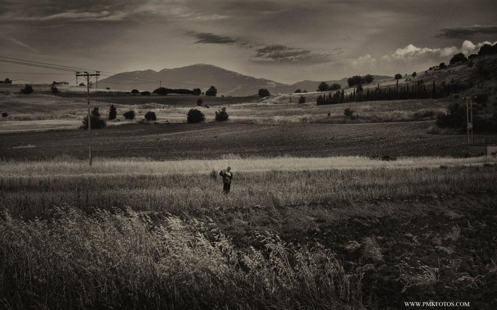 in the fields 