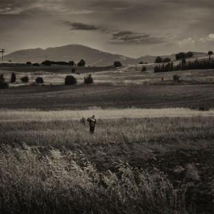 in the fields 