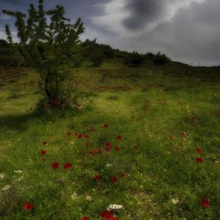 up to the fields 